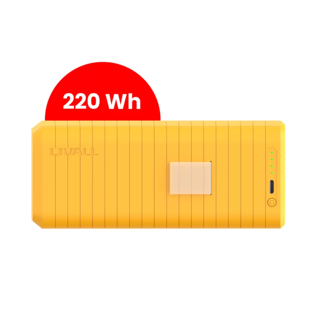 Verwisselbare batterij (220Wh)